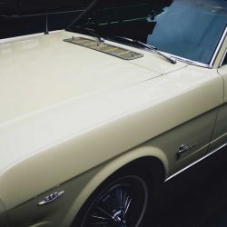 Front of car - Mustang